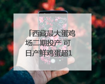西藏最大蛋鸡场二期投产 可日产鲜鸡蛋超150万枚